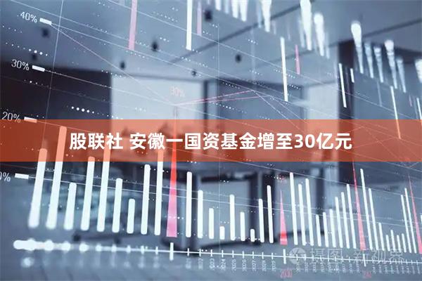 股联社 安徽一国资基金增至30亿元