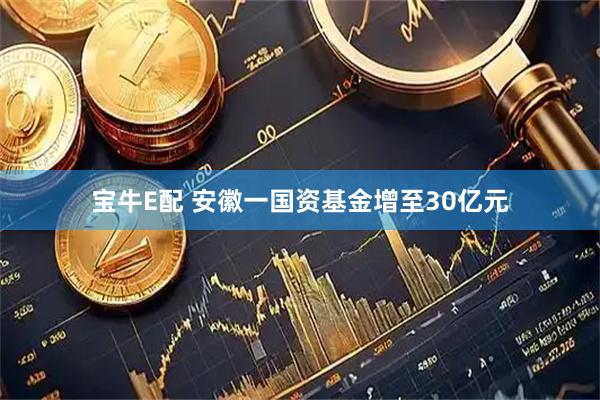 宝牛E配 安徽一国资基金增至30亿元