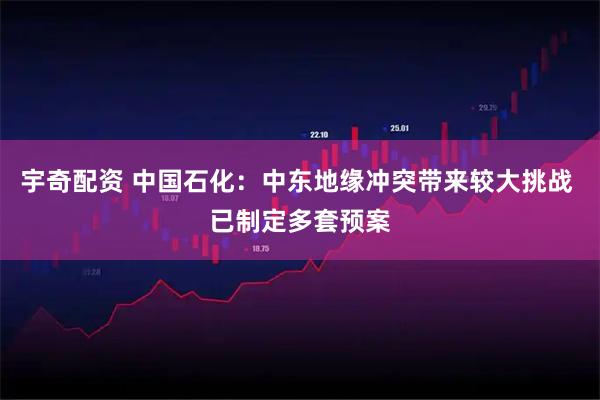 宇奇配资 中国石化：中东地缘冲突带来较大挑战 已制定多套预案