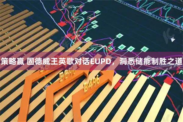 策略赢 固德威王英歌对话EUPD，洞悉储能制胜之道