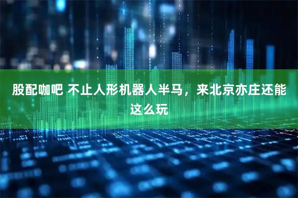 股配咖吧 不止人形机器人半马，来北京亦庄还能这么玩
