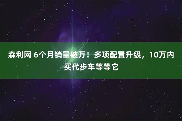 森利网 6个月销量破万！多项配置升级，10万内买代步车等等它