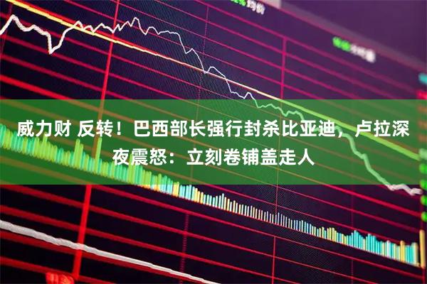 威力财 反转！巴西部长强行封杀比亚迪，卢拉深夜震怒：立刻卷铺盖走人