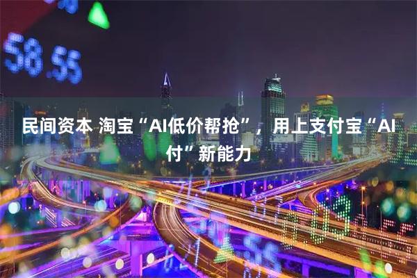 民间资本 淘宝“AI低价帮抢”,用上支付宝“AI付”新能力