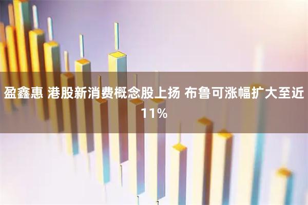 盈鑫惠 港股新消费概念股上扬 布鲁可涨幅扩大至近11%